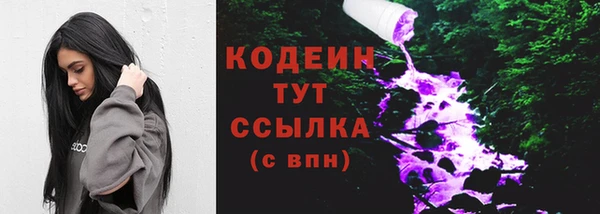 шишки Абаза