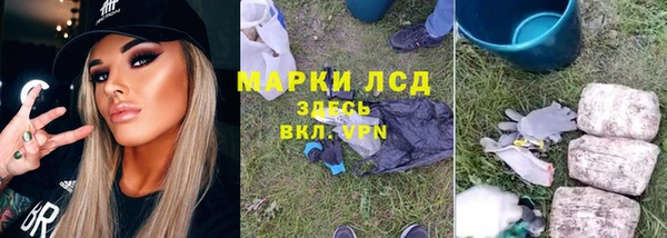 гашик Пересвет