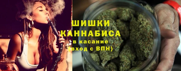 шишки Абаза