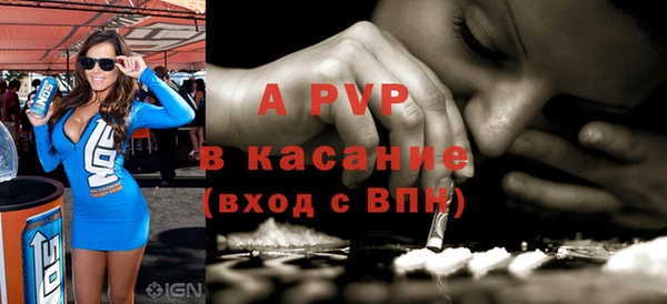 шишки Абаза