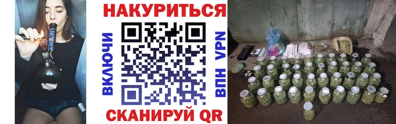 Каннабис индика  Кедровый 
